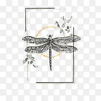 矢量蜻蜓-空若网 矢量蜻蜓-空若网