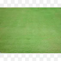 草坪背景-空若网 草坪背景-空若网