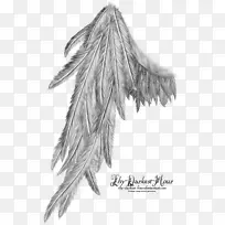 �����������Ӱ.��ʹ���-������