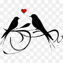 爱鸟剪贴画-鸟婚礼剪贴画-空若网 爱鸟剪贴画-鸟婚礼剪贴画-空若网