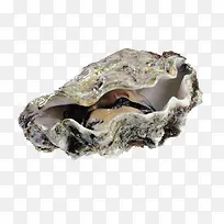 ���ʵ��ͼ-������