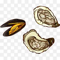 生蚝贝壳-空若网 生蚝贝壳-空若网