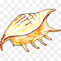 创意贝壳海螺-空若网 创意贝壳海螺-空若网