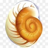 创意合成曹辉贝壳-空若网 创意合成曹辉贝壳-空若网