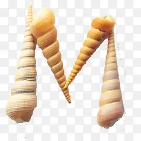 贝壳创意-空若网 贝壳创意-空若网