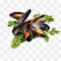 贝壳类食物海鲜-空若网 贝壳类食物海鲜-空若网