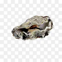 海鲜生蚝-空若网 海鲜生蚝-空若网