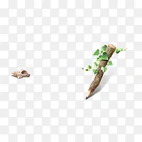 Ê÷ľÊ÷Ö¦±´¿Ç-¿ÕÈôÍø Ê÷ľÊ÷Ö¦±´¿Ç-¿ÕÈôÍø