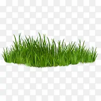 �ݵ� �ݿ� png�ز�-������