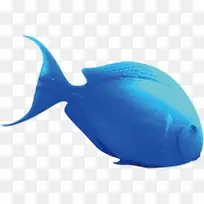 ��ɫ���⺣��С��-������