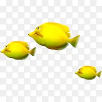 ��ɫС���ز�-������