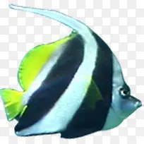 小鱼三角彩色-空若网 小鱼三角彩色-空若网