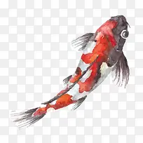 �ֻ�����-������