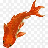 ��ͨ�ֻ�����-������