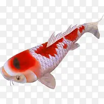 �ɰ��ֻ渻������-������