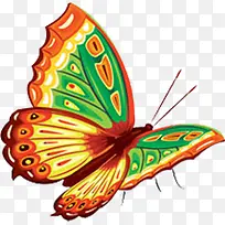 彩色手绘可爱鲤鱼-空若网 彩色手绘可爱鲤鱼-空若网