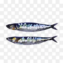手绘鱼类素材-空若网 手绘鱼类素材-空若网