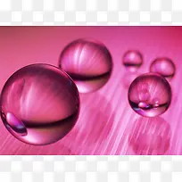 IT�����ز�002-������