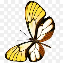 ����-������