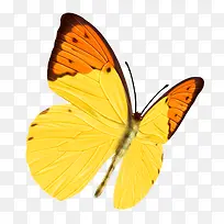 ����-������