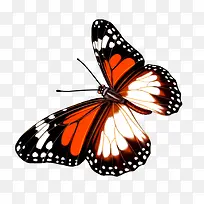 ����-������