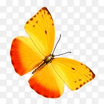 ����-������