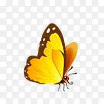 蝴蝶-空若网 蝴蝶-空若网