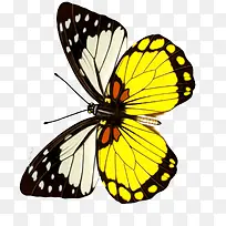 ����-������