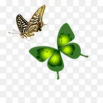 绿色蝴蝶-空若网 绿色蝴蝶-空若网