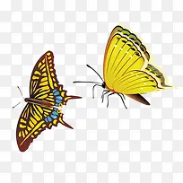 ��ɫ����-������