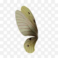 ³á°ò-¿ÕÈôÍø ³á°ò-¿ÕÈôÍø