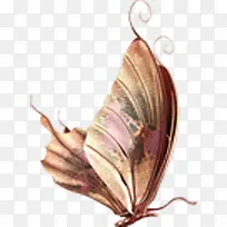 ���崴����Ӱ��ɫ����-������