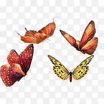 蝴蝶黄色点翅膀蝴蝶红白翅膀蝴蝶-空若网 蝴蝶黄色点翅膀蝴蝶红白翅膀蝴蝶-空若网