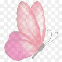 ��ֻ��ɫ��������-������