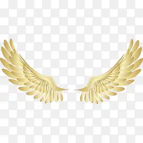 �ſ��ĳ��-������