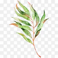 Ë®²Ê»Æ¯¸¡Ê÷Ò¶Ö²Îï-¿ÕÈôÍø Ë®²Ê»Æ¯¸¡Ê÷Ò¶Ö²Îï-¿ÕÈôÍø