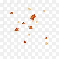 Ư����ɫ��Ҷ-������