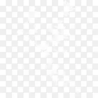 漂浮白色树叶-空若网 漂浮白色树叶-空若网