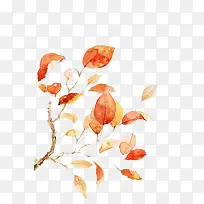 漂浮树叶-空若网 漂浮树叶-空若网