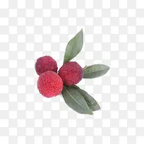 杨梅 水果 新鲜-空若网 杨梅 水果 新鲜-空若网