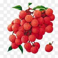 ������֦-������