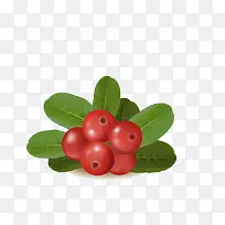 水果-空若网 水果-空若网