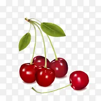 樱桃-空若网 樱桃-空若网