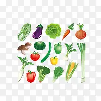 各种各样蔬菜-空若网 各种各样蔬菜-空若网