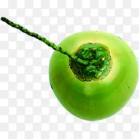 绿色新鲜水果俯视-空若网 绿色新鲜水果俯视-空若网