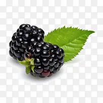 新鲜的蓝莓水果-空若网 新鲜的蓝莓水果-空若网