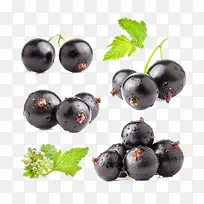 蓝莓-空若网 蓝莓-空若网