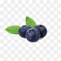 蓝莓-空若网 蓝莓-空若网