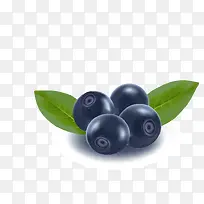 蓝莓-空若网 蓝莓-空若网