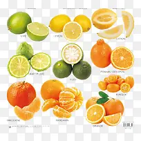 ��ɫˮ��-������